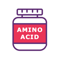 Les acides aminés